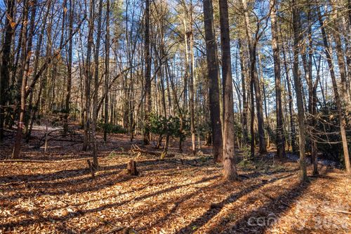 11-L11 Deerlake Rd, Brevard, NC, 28712 | Card Image