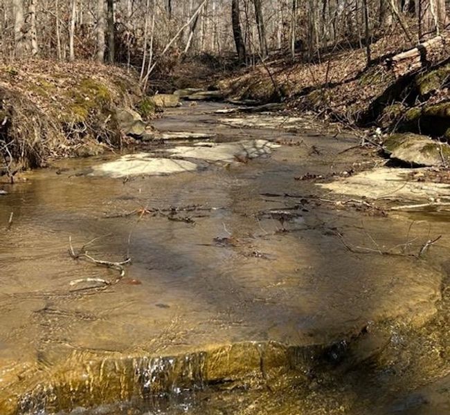 Lot 4 Oklahoma Rd, Home with 0 bedrooms, 0 bathrooms and null parking in Bee Spring KY | Image 14