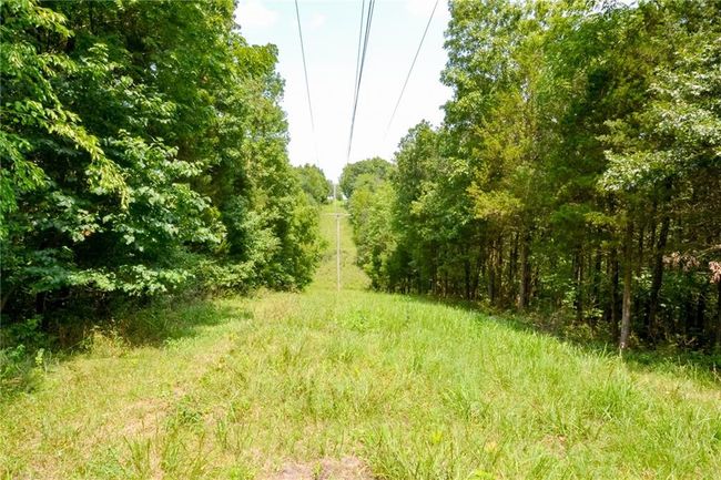 000 Us Highway 65, Home with 0 bedrooms, 0 bathrooms and null parking in Cross Timbers MO | Image 5