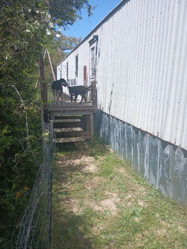 152 Palamino Ct, House other with 2 bedrooms, 2 bathrooms and 5 parking in Paige TX | Image 33