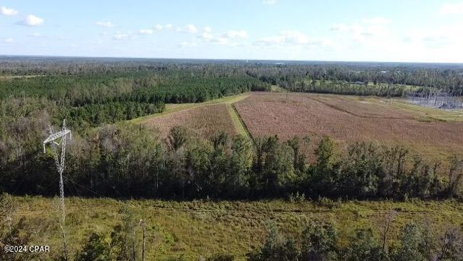 00 State Road 71 N, Home with 0 bedrooms, 0 bathrooms and null parking in Altha FL | Image 9
