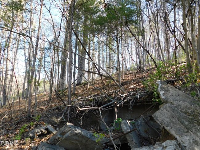 4400 Big Hill Rd, House other with 1 bedrooms, 1 bathrooms and null parking in Pennington Gap VA | Image 25