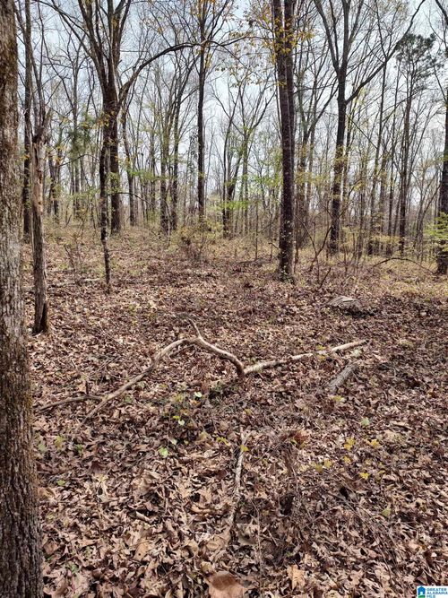 0-0 Billingsley Dr, SYLACAUGA, AL, 35151 | Card Image