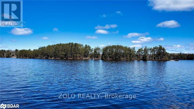 18 Hawkins Point Road, Home with 0 bedrooms, 0 bathrooms and null parking in Georgian Bay (Freeman) ON | Image 14