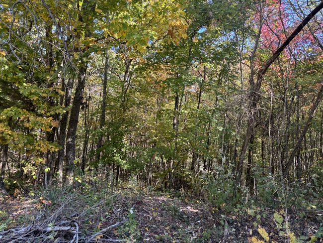 0 Middle Ridge Rd, Home with 0 bedrooms, 0 bathrooms and null parking in Beersheba Springs TN | Image 13