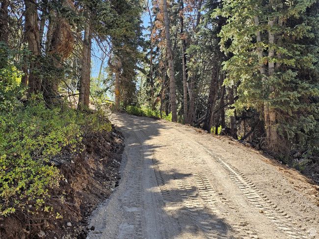 View of street with a forest view | Image 15