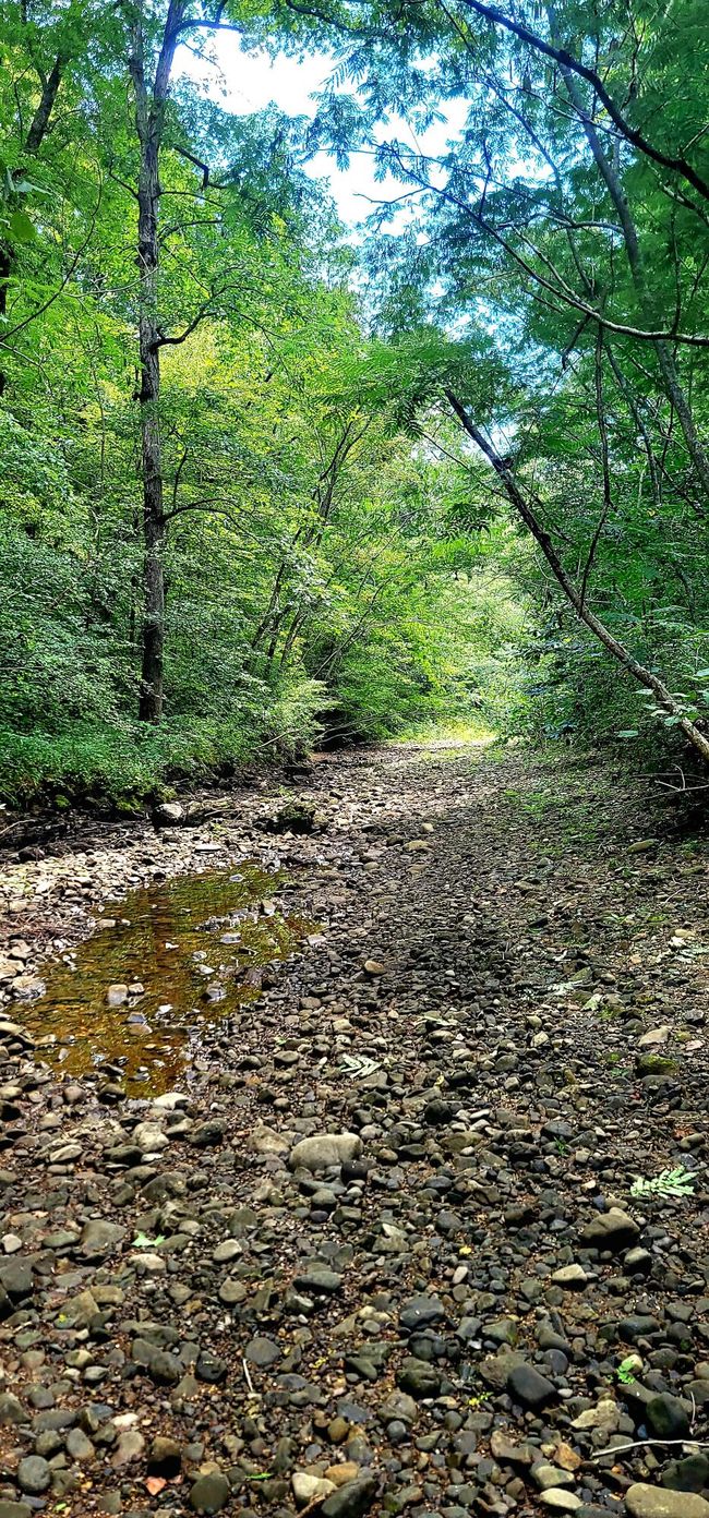61243 Stone Cave Loop, Home with 0 bedrooms, 0 bathrooms and null parking in Dunlap TN | Image 46