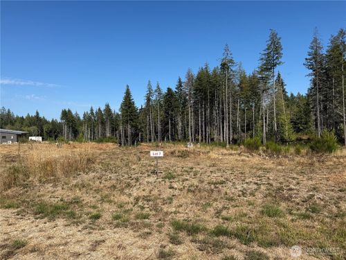7 Parcel E Johnson Ridge Dr, Belfair, WA, 98528 | Card Image