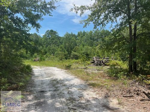 6.2 acre Tibet Hwy Se, Ludowici, GA, 31316 | Card Image