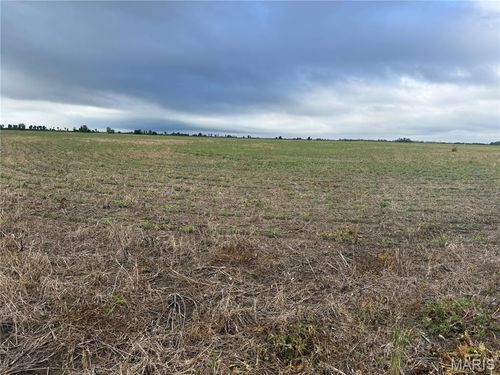 0 County Road 406, Hayti, MO, 63851 | Card Image