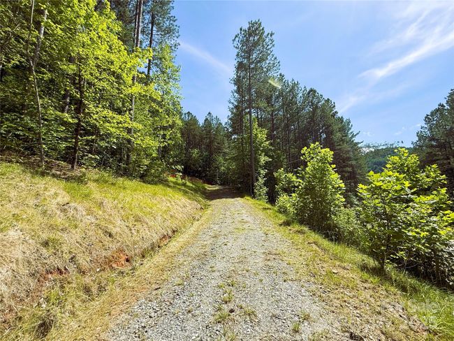 146 S Branch Dr, Home with 0 bedrooms, 0 bathrooms and null parking in Bostic NC | Image 6