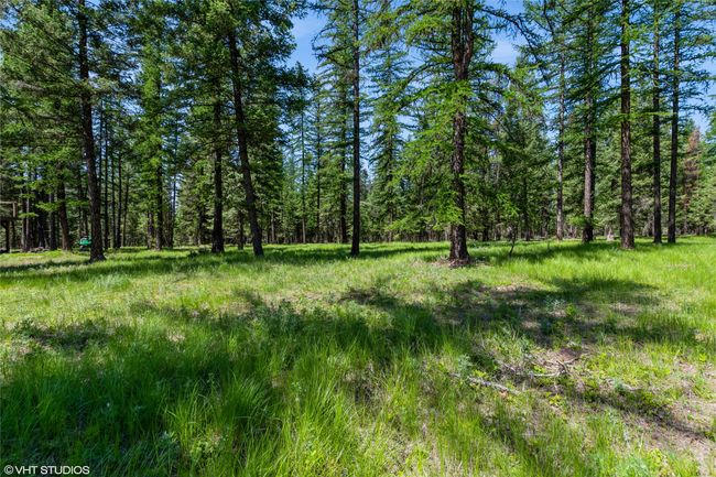 337 Forest Loop, Home with 0 bedrooms, 0 bathrooms and null parking in Eureka MT | Image 7