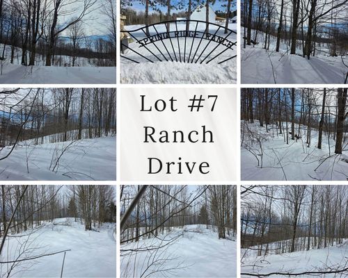 VL Ranch Drive, Kearney Township, MI, 49615 | Card Image