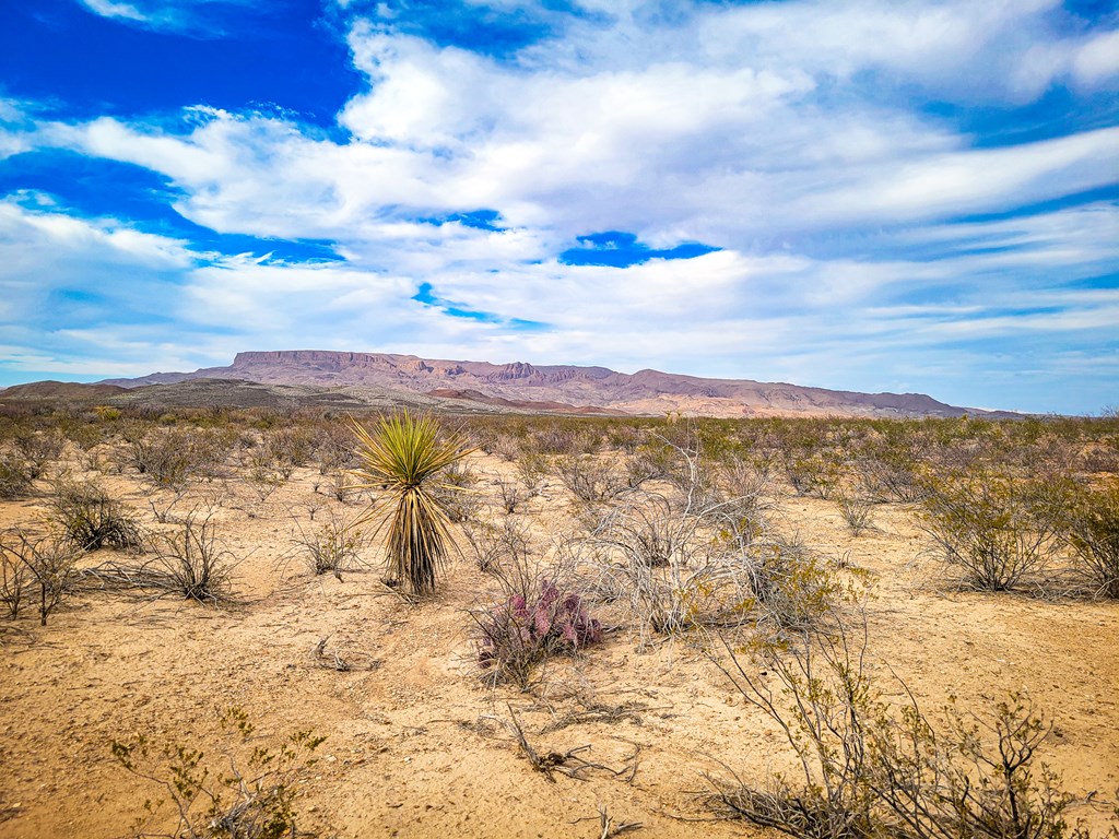 Land in Terlingua 2