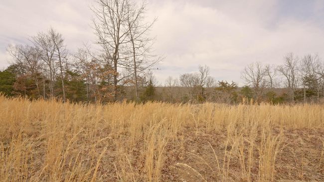 Lot 22 For Sale Arkansas Ozarks5 | Image 11