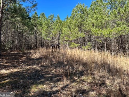 77 ACRES Roosevelt Hwy, Warm Springs, GA, 31830 | Card Image