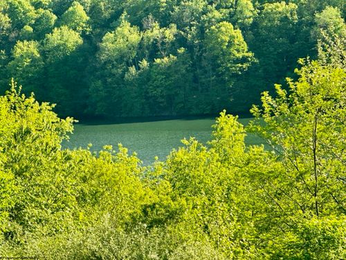 570 Lakeview Drive, Horner, WV, 26372 | Card Image