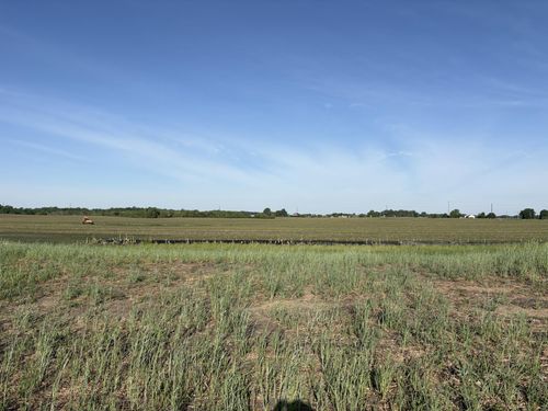 460 Ramey Rd, Maple Lake, MN, 55358 | Card Image