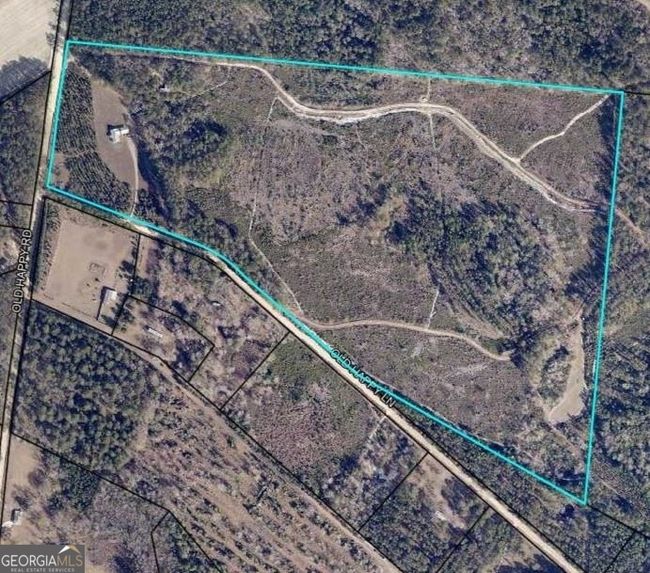 704-ACRES - 99 Old Happy Ln, Home with 0 bedrooms, 0 bathrooms and null parking in Brooklet GA | Image 8