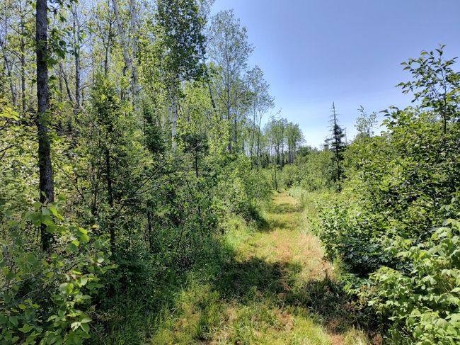 16499 Hwy 45, Home with 0 bedrooms, 0 bathrooms and null parking in Bruce Crossing MI | Image 14