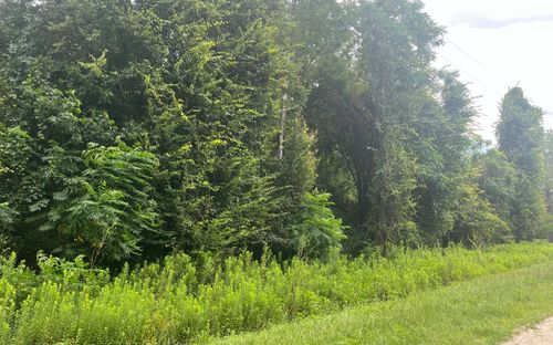 0 Nw 60th Ave, Jennings, FL, 32053 | Card Image