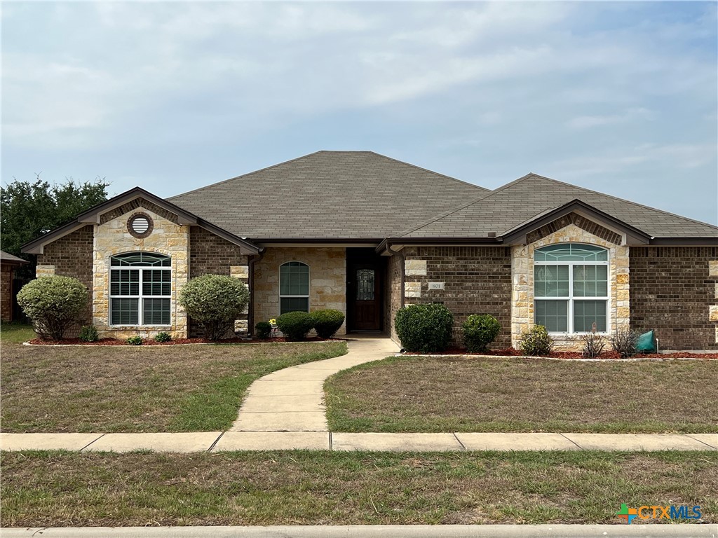 Hailie , Killeen, TX 76542