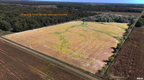 000 E Tallowtree Dr, Xenia, IL, 62899 | Card Image