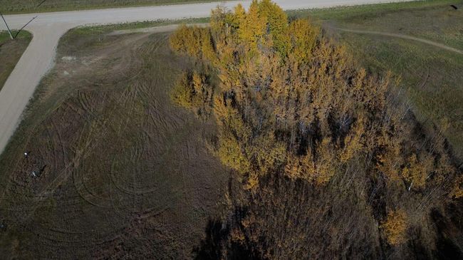 1 - 15015 Township Road 424, Home with 0 bedrooms, 0 bathrooms and null parking in Bashaw AB | Image 10