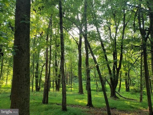 748 Kentland Dr, GREAT FALLS, VA, 22066-1012 | Card Image