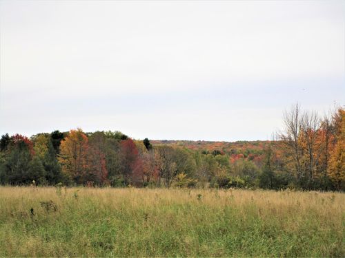 4 90th Street, Frederic, WI, 54837 | Card Image