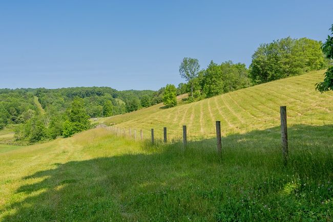 688 Gibson Knob Rd, Home with 0 bedrooms, 0 bathrooms and null parking in Laurel Fork VA | Image 73