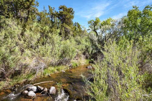 C3 and C4 Lands Of Clyde Smith, Jemez Springs, NM, 87025 | Card Image
