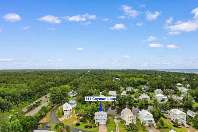 Aerial view of a heavily wooded area and a nearby body of water | Image 39