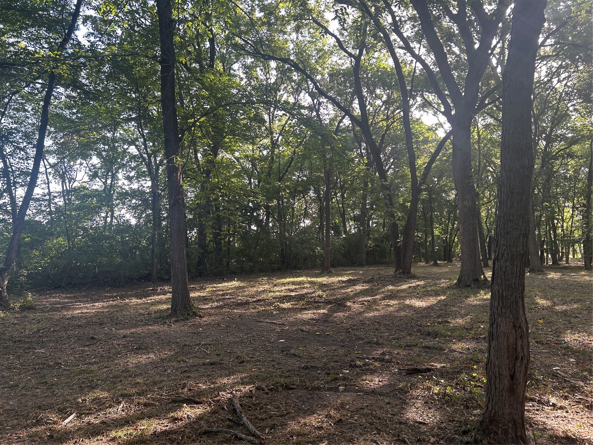 Land in Anna 4