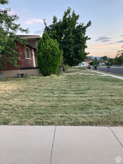 View of yard at dusk | Image 2