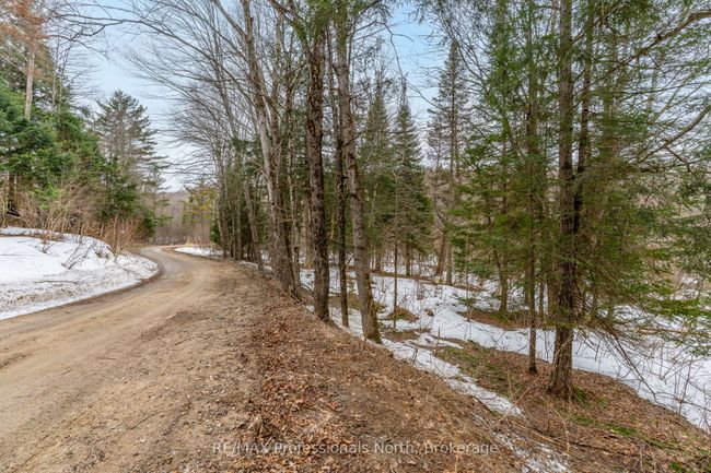 0 Ransley Rd, Home with 0 bedrooms, 0 bathrooms and null parking in Minden ON | Image 31