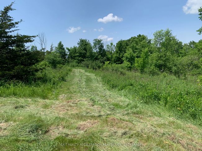 00 Buttermilk Falls Rd, Home with 0 bedrooms, 0 bathrooms and null parking in Roblin ON | Image 11