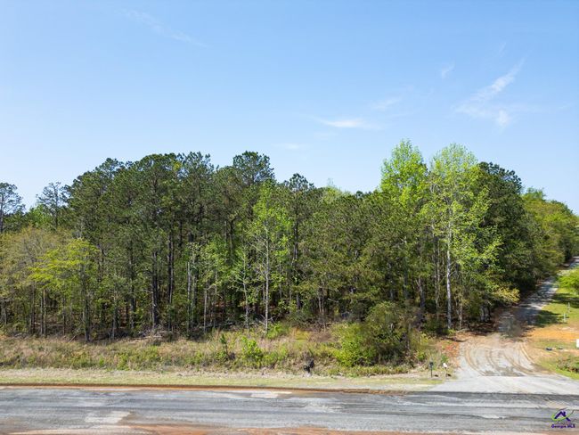 5760 Ga Highway 96 W, Home with 0 bedrooms, 0 bathrooms and null parking in Jeffersonville GA | Image 9
