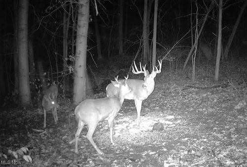 14252 State Route 83, Coshocton, OH, 43812-7572 | Card Image