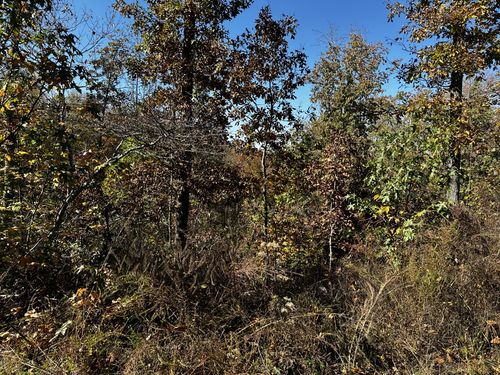 0 Ridge Top Rd, Stewart, TN, 37175 | Card Image