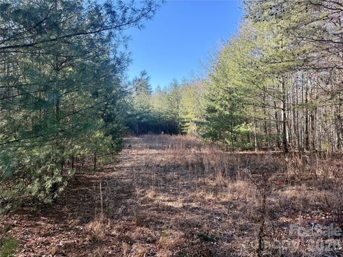 g45-2095 Hitching Post Trail, Lenoir, NC, 28645 | Card Image