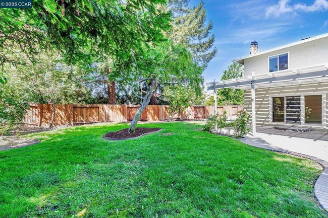 Back Yard | Image 32