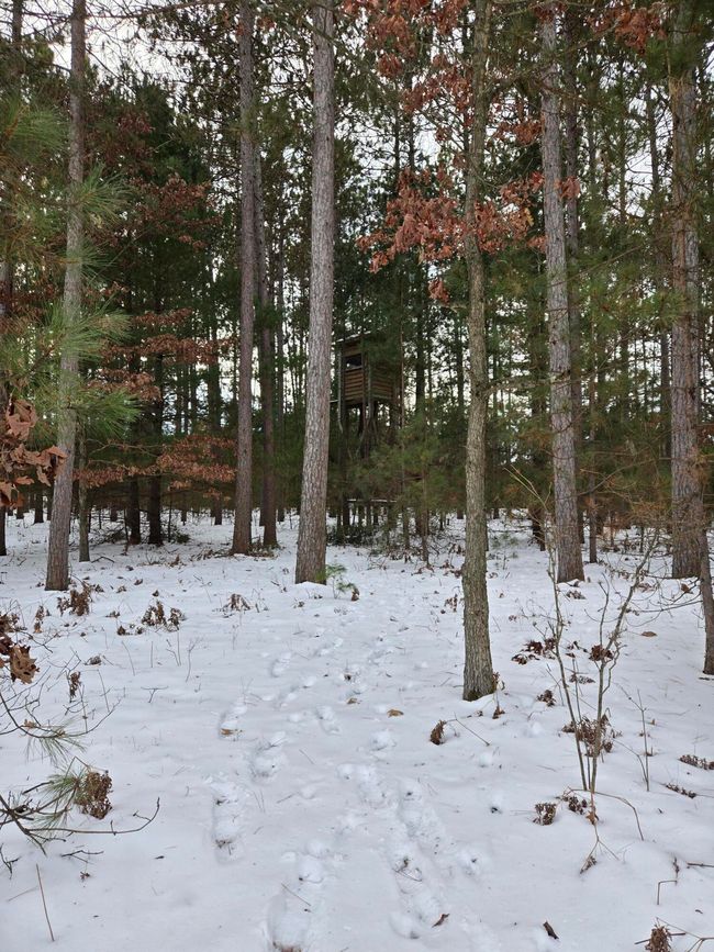 20250117_153048 | Image 97