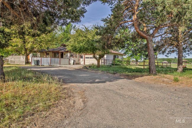 Tree lined driveway | Image 47