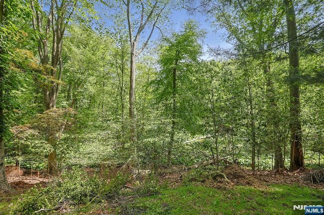 8 Autumn Ln, House other with 3 bedrooms, 1 bathrooms and null parking in Old Tappan NJ | Image 8