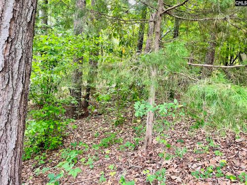 TBD Aiken St, Leesville, SC, 29070 | Card Image