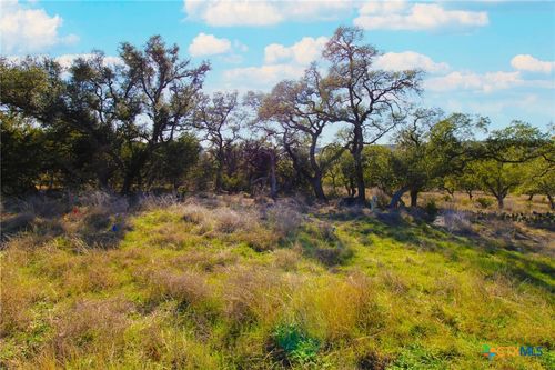 436 Cavy Rd, New Braunfels, TX, 78132-3446 | Card Image