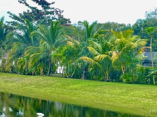 10874-10874 Royal Palm Blvd, Coral Springs, FL, 33065-6816 | Card Image