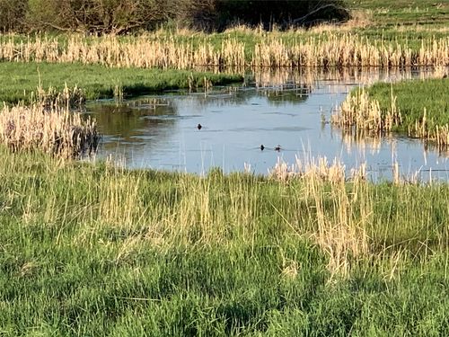 30 Kolbeck Ln, Hall, MT, 59837 | Card Image