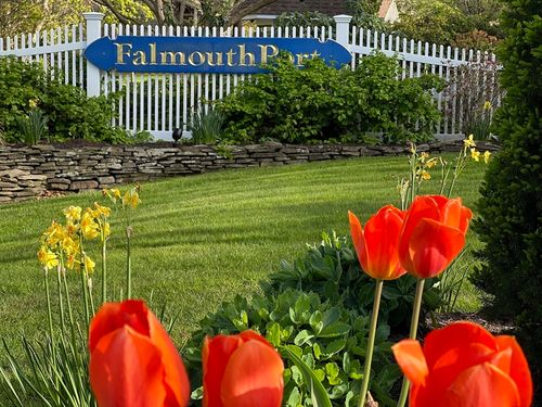 93-93 Forest Glade, Teaticket, MA, 02536-5817 | Card Image